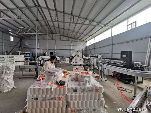 回農村老家辦衛生紙加工廠還是鋼壓延加工廠，哪種更賺錢？